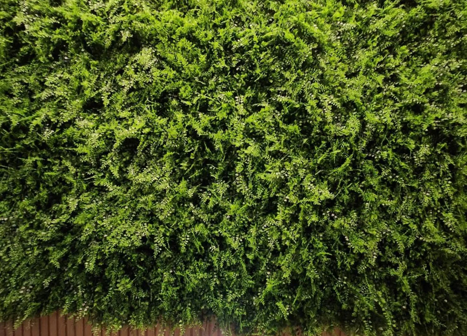 מלון בוסאן The Stay Nampo